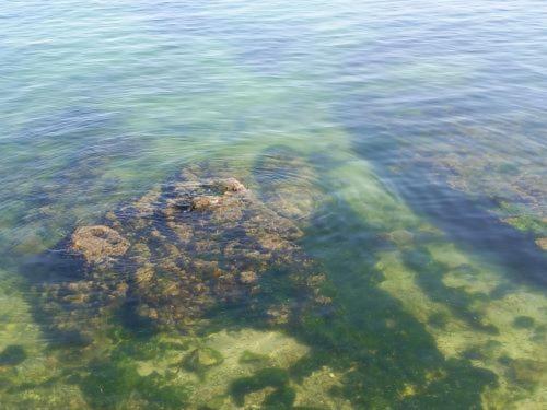 Solpor Do Veran * Ribeira